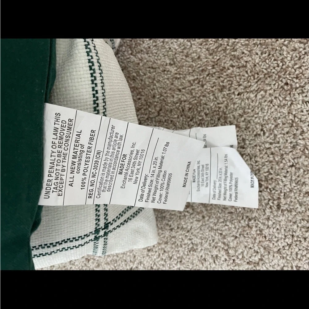 Rae Dunn Christmas green believe pillow set